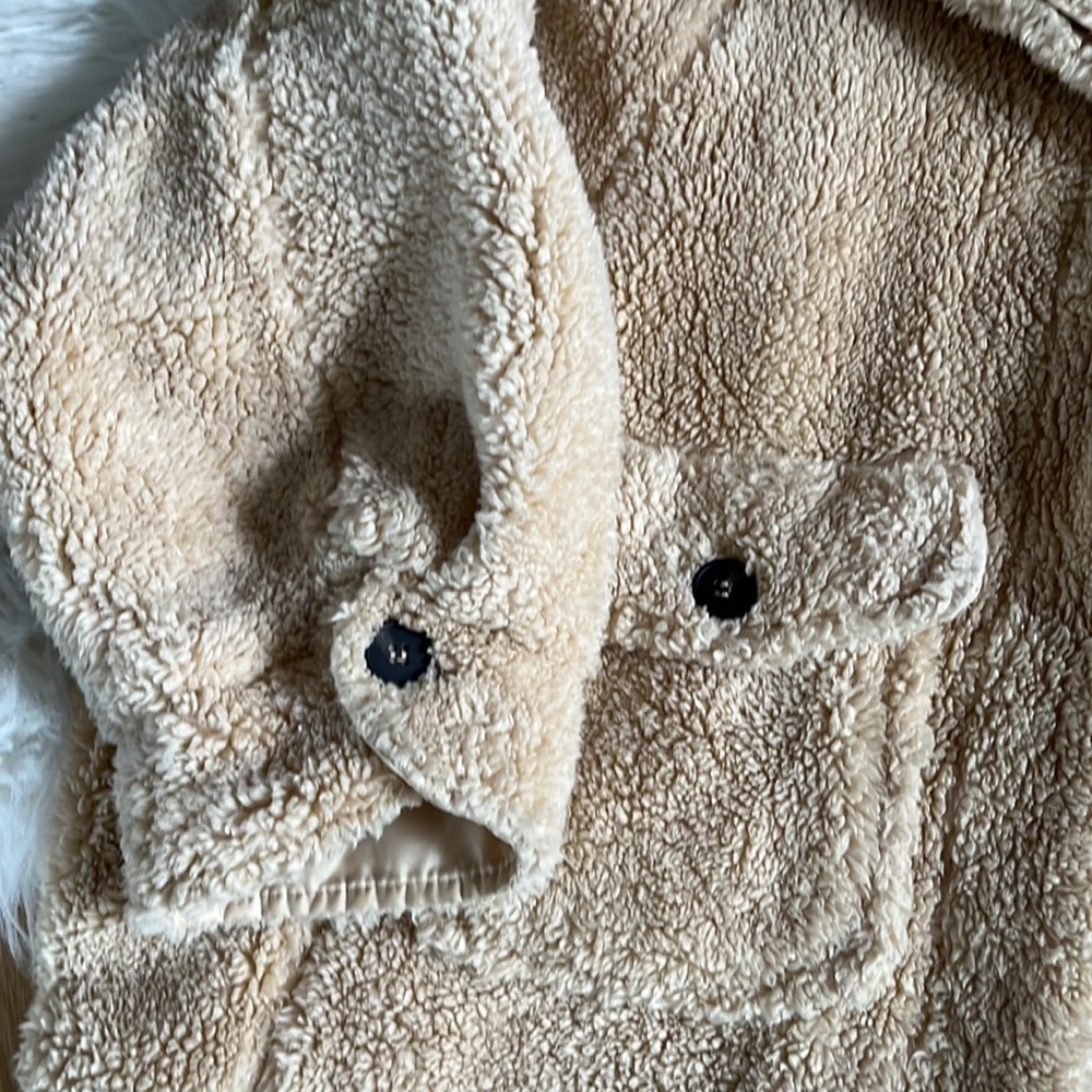 Coat - Picture 2 of 5